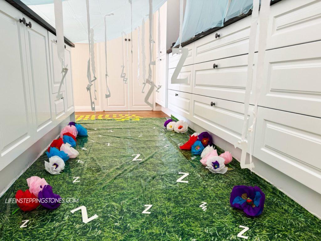Wizard of Oz and Wicked party game in poppy field. "Don't Touch the Zzz's"